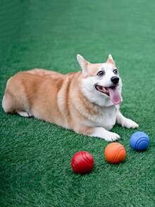 Solid Dog Toy Ball - Durable Rubber Chewing And Training Ball, Elastic, Bite-Resistant, For Teeth Cleaning, Perfect For Play And Exercise, Suitable For Aggressive Chewers Dog Toy - Multicolor - View 6