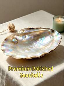 1/3pcs Pearl Shell Jewelry Tray, Iridescent Shell Jewelry Dish, Suitable For Rings, Earrings, Necklaces, Home Decor Vanity Storage Box - Multicolor - View 5