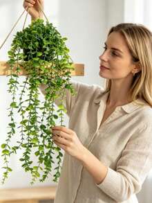 Artificial Plants Hanging Planter Wall-Mounted Shelf Decor Suitable For Indoor Outdoor Living Room Shelf Decoration Home Decor Room Decor Garden Decor Wall Decor - Eucalyptus - View 1