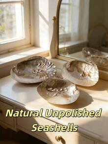 1/3pcs Pearl Shell Jewelry Tray, Iridescent Shell Jewelry Dish, Suitable For Rings, Earrings, Necklaces, Home Decor Vanity Storage Box - Multicolor - View 2