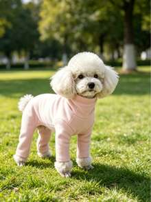 Pet Dog Clothes Multicolor Solid Color Fleece Home Wear Four-Legged Jumpsuit Anti-Shedding Base Layer Casual Comfortable Inner Shirt Suitable For Small Dogs Teddy Bichon Pomeranian Yorkshire Terrier Maltese All-Season Wear Apparel - Multicolor - View 8