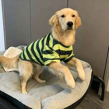 1件大狗春/夏薄款綠色條紋寵物衣服，適合拉布拉多、黃金獵犬、阿拉斯加哈士奇 - 綠色 - 查看 4