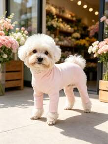 Pet Dog Clothes Multicolor Solid Color Fleece Home Wear Four-Legged Jumpsuit Anti-Shedding Base Layer Casual Comfortable Inner Shirt Suitable For Small Dogs Teddy Bichon Pomeranian Yorkshire Terrier Maltese All-Season Wear Apparel - Multicolor - View 14