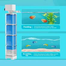Aquarium & Fish Tank - Army Green - View 7