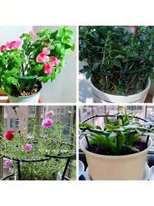 4pcs Plastic Semi-Circle Plant Stands,Suitable For Potted Plants,Plant Support Stakes, Indoor/Outdoor Small Plant Support Rings, Garden Flower Support Racks, Climbing Frames, Peonies, Semi-Circle Potted Plant Support Racks,Small Plant Support Rings ﻿ - A - View 2