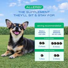 Native Pet Dog Allergy Chews - Dog Allergy Relief For Medium Breeds - Supports Seasonal Itch Relief, Healthy Immune Function &Amp; Reduces Sneezing - Colostrum, Spirulina, &Amp; Probiotics - 30 Days Supply - ColorA - View 5