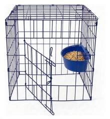 60x60 Colorful Scratching Post Cage - M - View 2