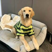 1件大狗春/夏薄款綠色條紋寵物衣服，適合拉布拉多、黃金獵犬、阿拉斯加哈士奇 - 綠色 - 查看 5