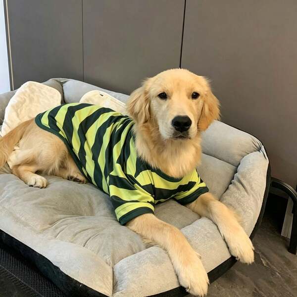 1pc Dog Clothes Large Breed Spring/Summer Thin Green Striped Outfit For Labrador Golden Retriever Alaskan Husky