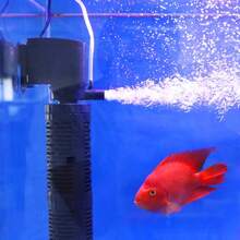 Aquarium & Fish Tank - Apricot - View 7