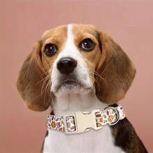 Autumn White Dog Collar, Polyester Adjustable Collar With Pumpkin And Coffee Cup Print, Suitable For Small And Medium Dogs Holiday Neckband - Mixed color - View 4
