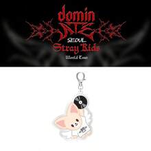 SKZOO "Dominate Seoul" Album Series, Silver CD Disc Wing Design Acrylic Keychain Pendant, Very Cute Bag Accessory - Multicolor - View 9