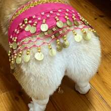 Corgi Dog Party Costume Set, Sequin Waist Chain Skirt, Suitable For Small Dog Birthday And Halloween Dress-Up - Multicolor - View 3