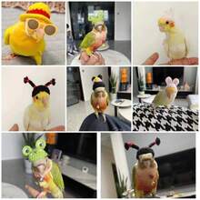 Hamster Decorative Knitted Knitted Hat Photo Prop Animal & Plant Shaped Cute Accessory Parrot Hat Snake & Lizard Accessory - Multicolor - View 7