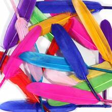 FeelfunFeather 120pcs Mix Colur Goose Cochettes Feather 4-6 Inch 10-15cm Bulk Natural For Wedding Party Halloween Decorations DIY Cosplay Gothic Costumes Crafts - ColorT - View 5