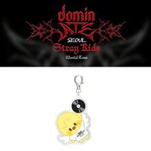 SKZOO "Dominate Seoul" Album Series, Silver CD Disc Wing Design Acrylic Keychain Pendant, Very Cute Bag Accessory - Multicolor - View 11