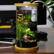 Terrariums - Apricot - View 2
