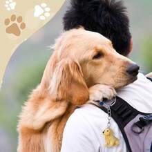 Nosiny 3 Pcs Dog Hair Collector Keychain Charm Memorial Storage Box Plastic Pet Fur Holder Keyring Cute Dog Hair Keepsake Collection With Tweezers Comb Memorial Gift For Pet Lovers(Golden Retriever) - ColorA - View 6