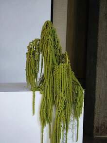 1/2/3/4/5pcs Hanging Amaranth Flowers, Floral Art, Hanging Floral Art, Wedding Arch Decor, Background Decor - Yellow-green - View 1