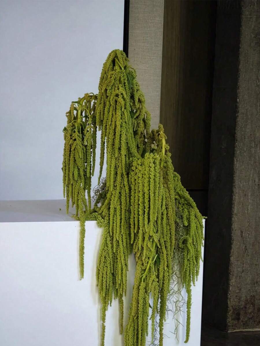 1/2/3/4/5pcs Hanging Amaranth Flowers, Floral Art, Hanging Floral Art, Wedding Arch Decor, Background Decor - Yellow-green - View 1