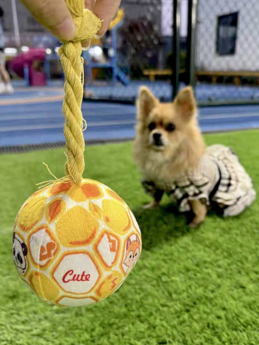 Durable Squeaky Dog Toy Interactive Self-Play Chew Ball Relieve Boredom Release Energy Soft Plush Pet Toy Suitable For Small Dogs Teddy Bichon Easter Father's Day Pet Gift - Multicolor - View 1