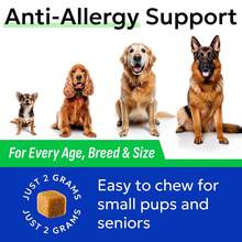 BARK&Amp;SPARK Dog Allergy Relief Soft Chews For Skin Health &Amp; Seasonal Allergies - Anti-Itch Supplement W/Omega-3, Quercetin &Amp; Bromelain Immune Treats For Dry Skin &Amp; Hot Spots - BBQ Chicken - 60ct - Color - View 7