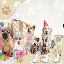Nosiny 3 Pcs Dog Hair Collector Keychain Charm Memorial Storage Box Plastic Pet Fur Holder Keyring Cute Dog Hair Keepsake Collection With Tweezers Comb Memorial Gift For Pet Lovers(Golden Retriever) - ColorA - View 5