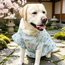大型犬寵物衣服 拉布拉多 金毛獵犬 薩摩耶 薄款夏季卡通可愛防掉毛 - 淺藍色 - 查看 1