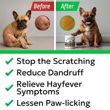 BARK&Amp;SPARK Dog Allergy Relief Soft Chews For Skin Health &Amp; Seasonal Allergies - Anti-Itch Supplement W/Omega-3, Quercetin &Amp; Bromelain Immune Treats For Dry Skin &Amp; Hot Spots - BBQ Chicken - 60ct - Color - View 5