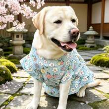 大型犬寵物衣服 拉布拉多 金毛獵犬 薩摩耶 薄款夏季卡通可愛防掉毛 - 淺藍色 - 查看 4