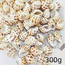 Approx. 110pcs/Box Mixed Natural Seashells 200g Pink Shells 300g Yellow Conch - Suitable For DIY Jewelry Making, Aquarium Decoration, Bathroom Decor, Party Candles, Wedding Decoration, Handmade Projects - Set - View 9