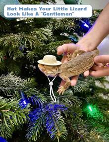 HAEZU Bearded Dragon Clothes Lizard Toy - Mini Hat,Skateboard,Backpack Gifts For Reptiles Pet - Cute Bearded Dragon Costume Accessories For Lizard Iguana Reptiles Small Animals (Rose Red) - ColorL - View 7