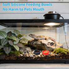 12pcs Gecko Feeding Bowls Silicone Small Cups Reusable Food & Water Dish Glass Container Bowl With 2 Feeding Spoons Suitable For Crested Gecko, Leopard Gecko, Lizard, Snail, Hermit Crab, Small Reptiles - Feeding Bowl - View 4