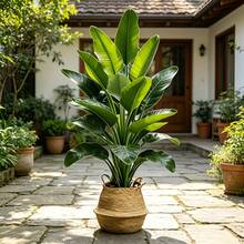 Extra Large Artificial Banana Tree, Indoor And Outdoor Use, Realistic Green Leaves Suitable For Home, Office, Garden And Other Scenes, Also Used For Easter, St. Patrick's Day, Independence Day, Father's Day, Mother's Day, Wedding And Other Holiday Decorations, Natural Beautiful And Practical, Easily Add Vitality And Atmosphere To The Space. Home Decor, Room, Bedroom Decor, Living Room Decor, Wedding Decor Greenery - Multicolor - View 4