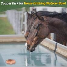 Horse Water Purifier, 99.9% Pure Copper, Three-Point Support Design, Suitable For Various Pets Like Horses, Dogs, Cats, Cows, Chickens, Birds, Reusable, Physical Purification, Easy-To-Use Pet Water Purifier - 1 - View 3