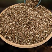 250/400G Lightweight Expanded Vermiculite Garden Soil For Succulents, Orchids, Cacti, Bulk 200G 300G 3-6mm Natural Rice Stone Universal Plant Substrate, Decorative Container Vase Filler, Flower Pot Filler - Garden Planting Kit - View 4