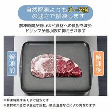 解凍プレート 急速解凍 プレート 解凍皿 アルミ合金 シートまな板 ブロッコリー 自然解凍 置くだけ 急速 解凍 解凍トレイ 肉解凍プレート 自然解凍まな板 業務用 - ブラック - チェックする 9
