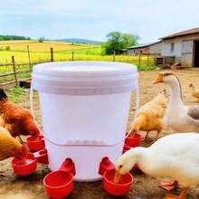 自動家禽飲水器套組－家禽餵食器，自動停止一體化設計，大號藍色雞用水杯，適用雞、鴨、鵝、鴿、鳥類，家禽自動飲水碗，戶外鳥餵食器，雞飼料槽，雞飼料，雞用品，雞飲水器，園藝用品 - 餵水器紅色 - 查看 12