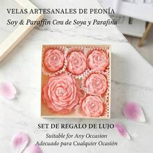 Novel Wax - Pink - View 5
