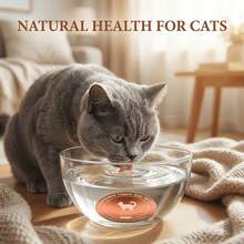 Copper Pet Water Purifier, Three-Point Support Design, 99.9% Pure Copper Water Purifier, Suitable For Various Pets Like Dogs, Cats, Cows, Chickens, Reusable, Physical Water Purification, Easy-To-Use Pet Water Purifier, Cat Pattern - 1 - View 1