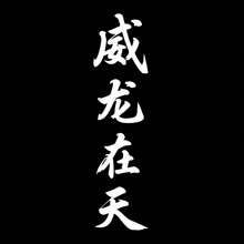 1pc "Dragon In The Sky" Sticker/Not Afraid To Lose Or Win, Dragon Spirit, Chinese Calligraphy Sticker, Car Decal, Suitable For Any Car Model, Holiday Gift - Car Stickers - View 8
