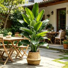 Extra Large Artificial Banana Tree, Indoor And Outdoor Use, Realistic Green Leaves Suitable For Home, Office, Garden And Other Scenes, Also Used For Easter, St. Patrick's Day, Independence Day, Father's Day, Mother's Day, Wedding And Other Holiday Decorations, Natural Beautiful And Practical, Easily Add Vitality And Atmosphere To The Space. Home Decor, Room, Bedroom Decor, Living Room Decor, Wedding Decor Greenery - Multicolor - View 2
