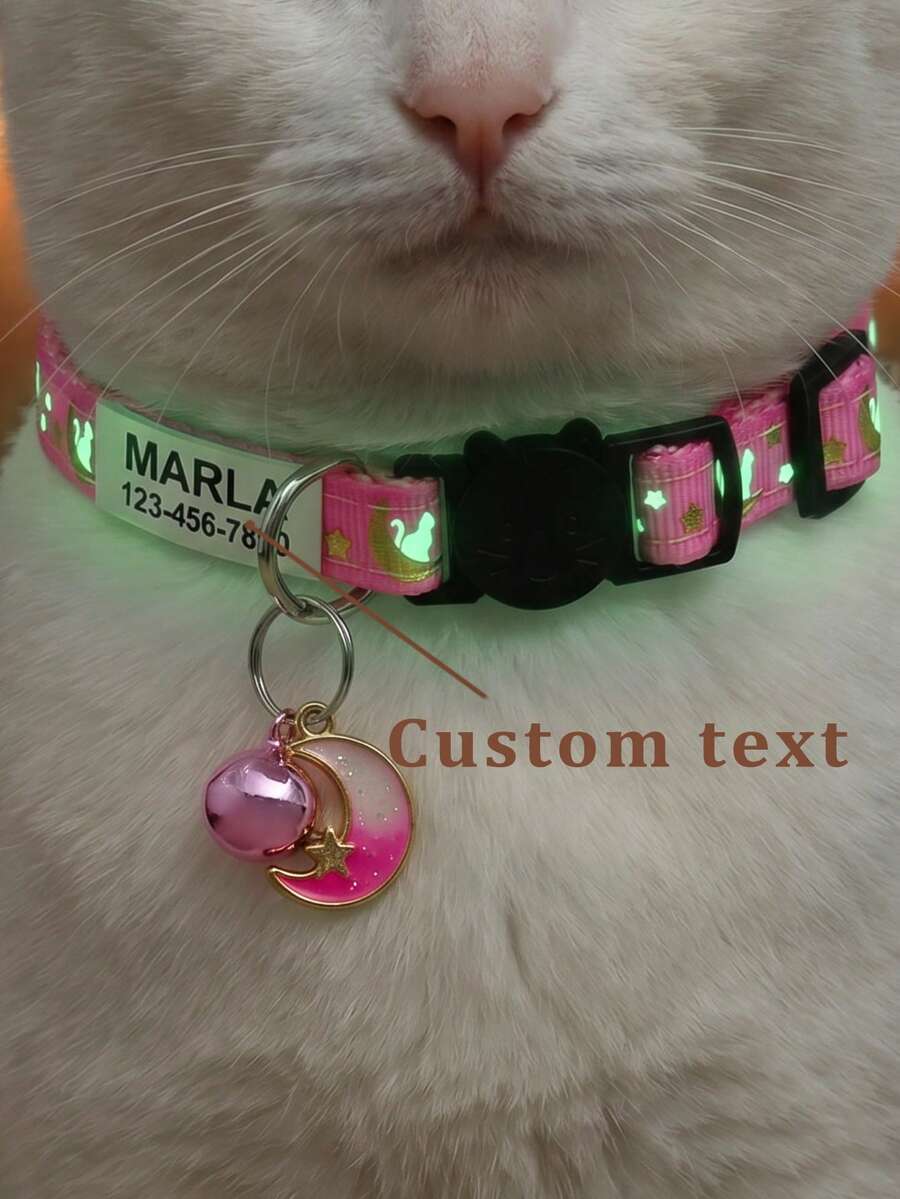 Personalisieren Sie ein leuchtendes Katzenhalsband, das bei Sonnenlicht oder künstlichem Licht leuchtet. Zu den Merkmalen gehören eine erstickungssichere Schnalle, ein wunderschön gefertigter Glockenanhänger und ein personalisierter Hundemarkenanhänger mit dem Namen, der Telefonnummer und der Adresse Ihres Haustiers., Sicherheits-Katzenhalsband - Verschiedenfarbig - Übersicht 1