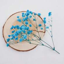 25/50/100/150/300pcs Ivory Mini Artificial Mixed Baby's Breath Flowers, Handmade Floral Materials For Resin Crafts, Hair Accessories, Wedding Wreaths, Tabletop Home Decor - Blue - View 3