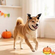 3/6pcs Halloween PU Shiny Fabric Plush Ball Pet Devil Horn Bat Headband, High Elasticity Non-Tight Fit Cat Dog Universal Funny Headwear, Cat Dog Decoration Accessories, Cute Pet Halloween Party Costume Atmosphere Outfit, Small And Medium Cat Dog Holiday Costume Headwear, Halloween Photo Party Costume Gift, Halloween Gift Perfect Pet Gift! - Multicolor - View 7