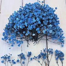 Bleu azur