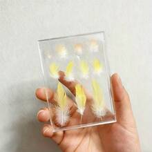 Clear Plastic Parrot Feather Display Box, Transparent Bird Feather Keepsake Shadow Box, Dustproof Feather Collection Storage Case For Cockatiel Budgie, Pet Memorial Bird Lover Gift Also Suitable For Trading Card Holder / Photocard Holder - one-size - View 9