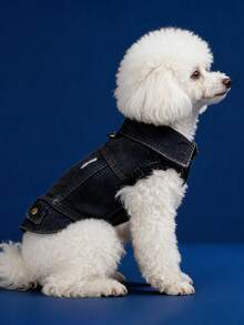PETCIRCLE 1件裝寵物衣服 小狗幼犬可愛寵物做舊個性風領圈附牽繩扣酷感外套 - 黑色 - 彩色 - 查看 2
