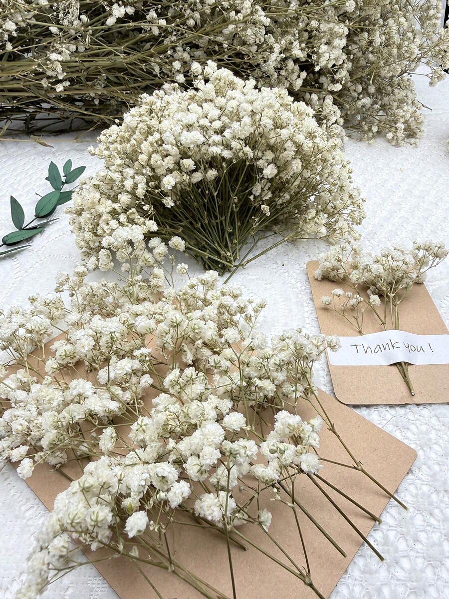 25/50/100/150/300件迷你滿天星與其他人造花 - 用於樹脂模具藝術與手工藝,適用於髮飾、婚禮花環、桌面花飾、家居裝飾等 - 白綠色 - 查看 1