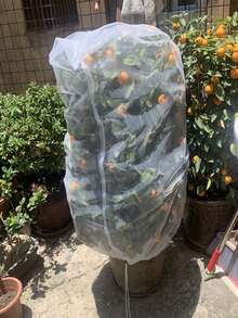 1件裝水果樹防護網袋（附拉鍊與抽繩），可重複使用，多尺寸可選，保護水果，秋季採收用品，適用於果樹，防鳥網，防止鳥類、害蟲與鹿造成的損害 - 多款 - 查看 5